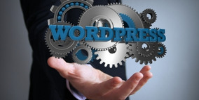 Wordpress hosting