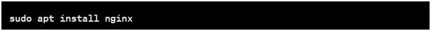 nginx install