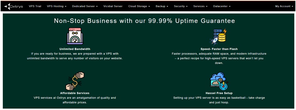 Oxtrys’s VPS Hosting Features