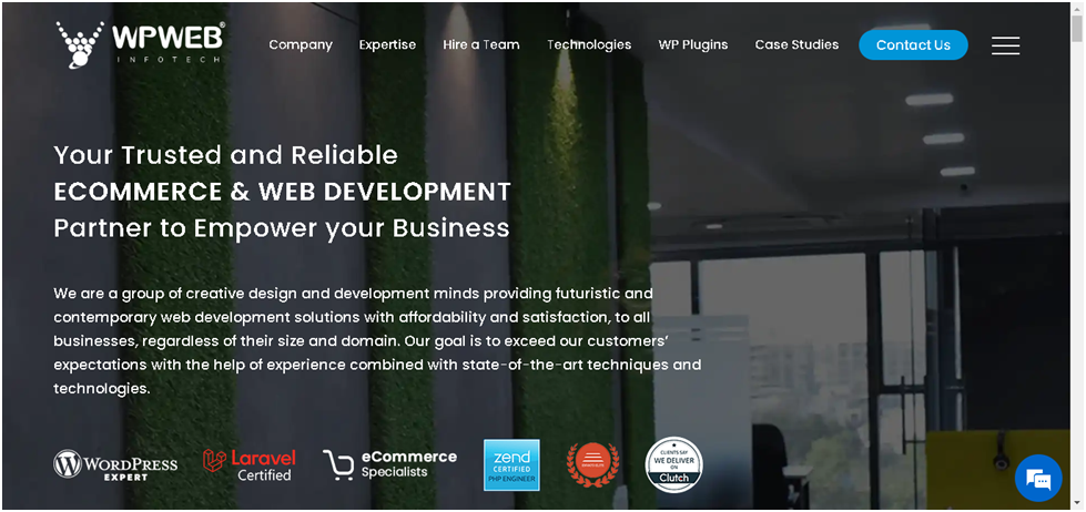 WPWeb Infotech